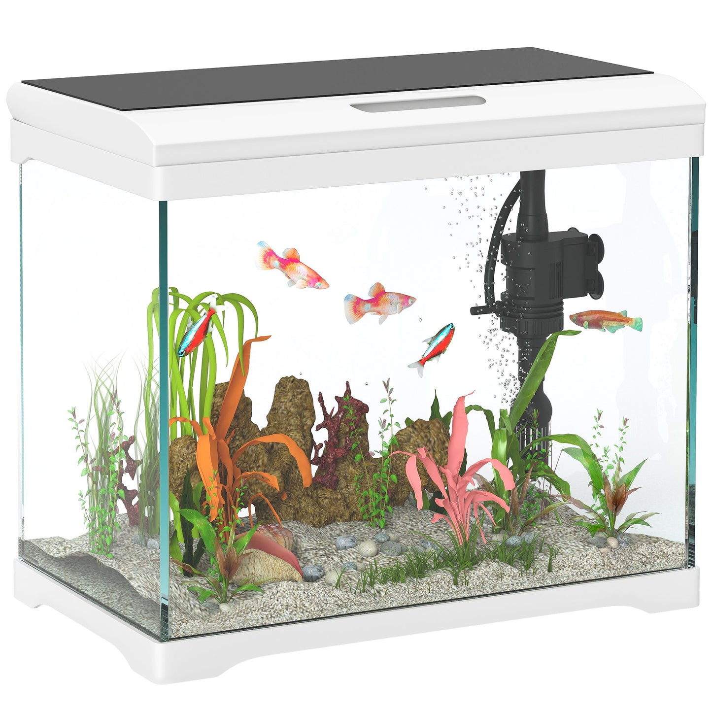 PawHut 27L Glass Fish Tank with Filter and Light