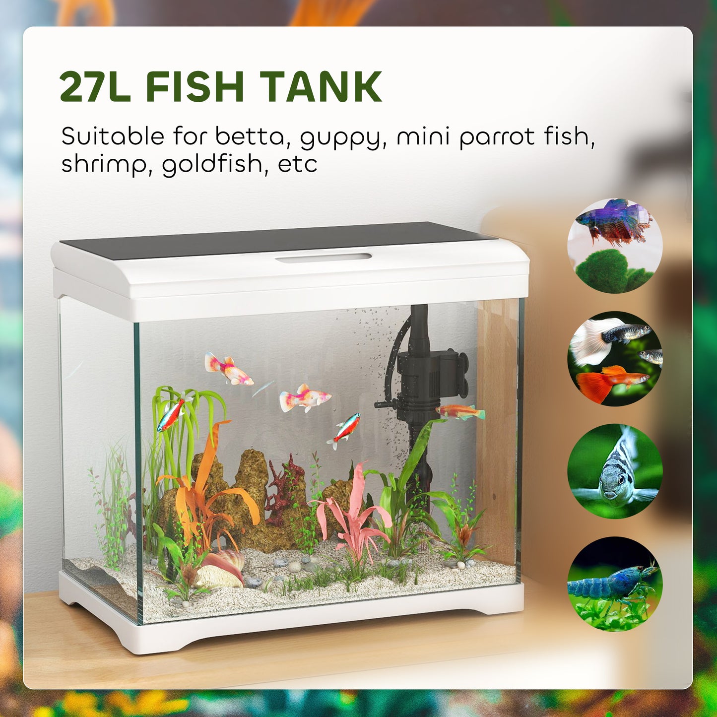 PawHut 27L Glass Fish Tank with Filter and Light