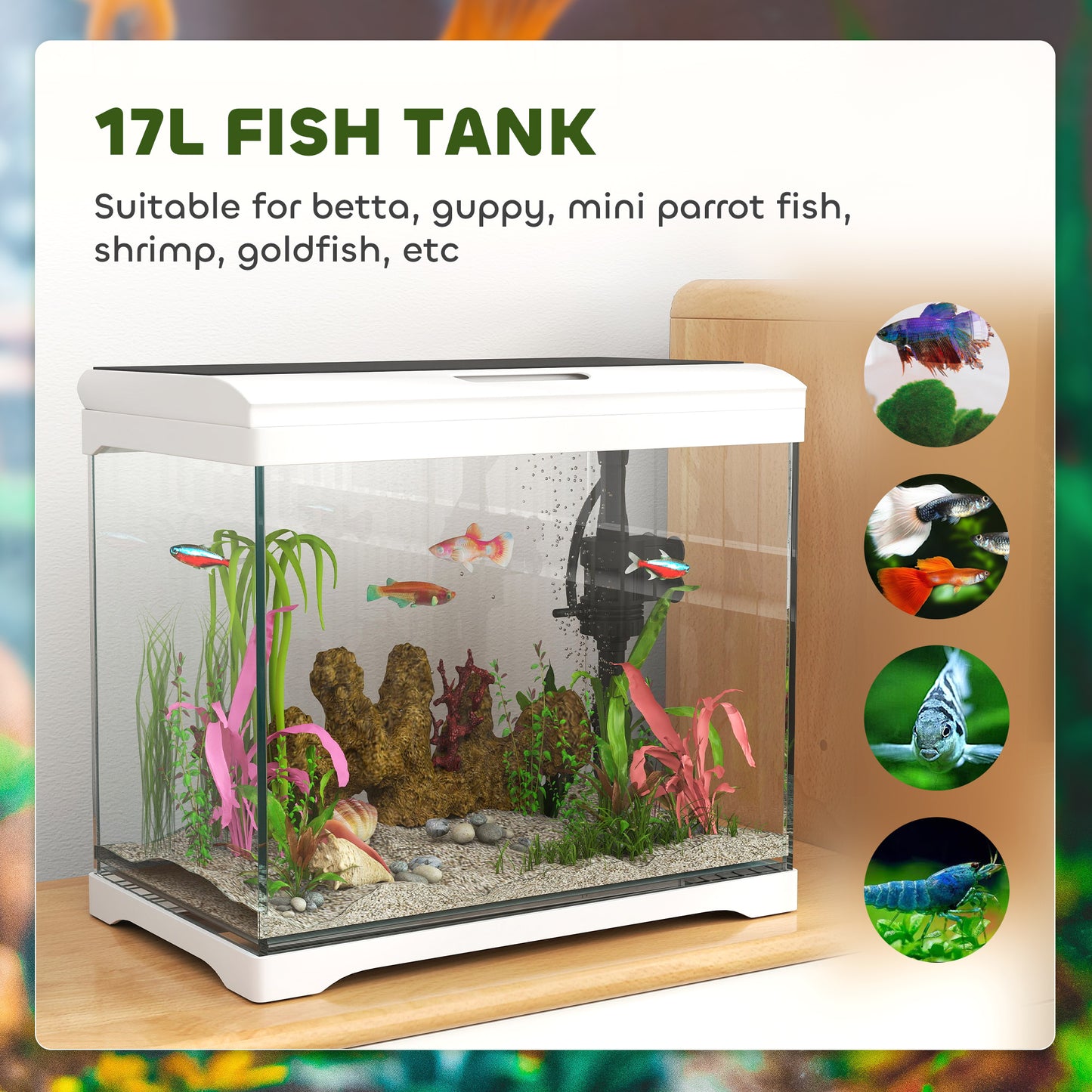 PawHut 17L Glass Fish Tank with Filter and Light