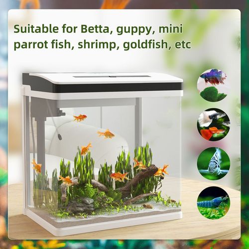 PawHut 28L Glass Fish Tank with Filter and Light