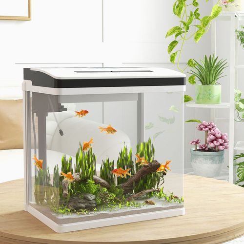 PawHut 28L Glass Fish Tank with Filter and Light