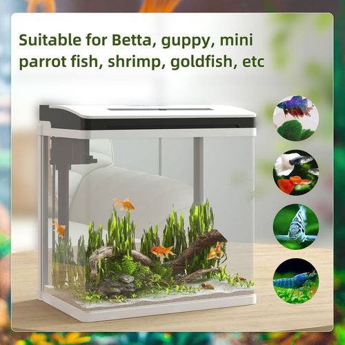 PawHut 13L Glass Fish Tank with Filter and Light