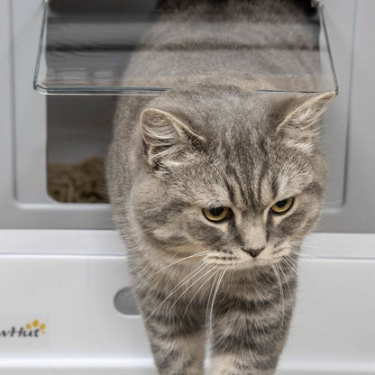 PawHut Hooded Cat Litter Box with Scoop and Tray (Grey)